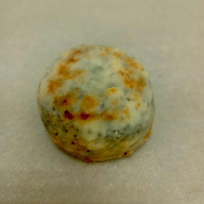 photo_2025-06-22_10-02-40